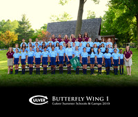 Butterfly1