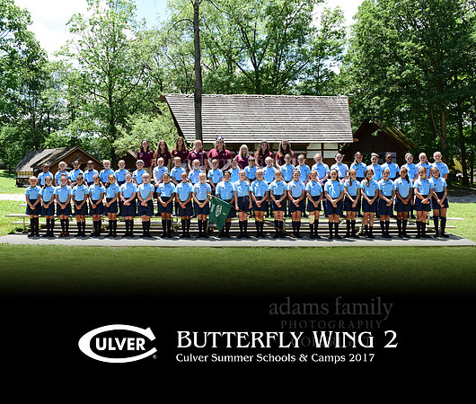 Butterfly Wing 2 2017
