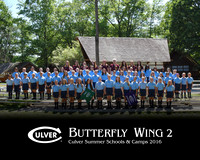 Butterfly2