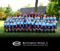 Butterfly3