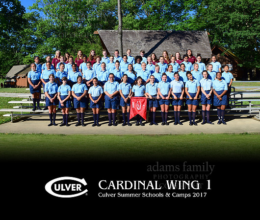 Cardinal Wing 1 2017