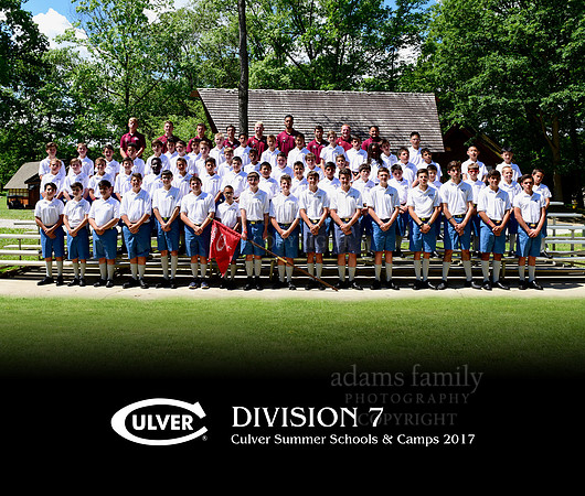 Division 7 2017