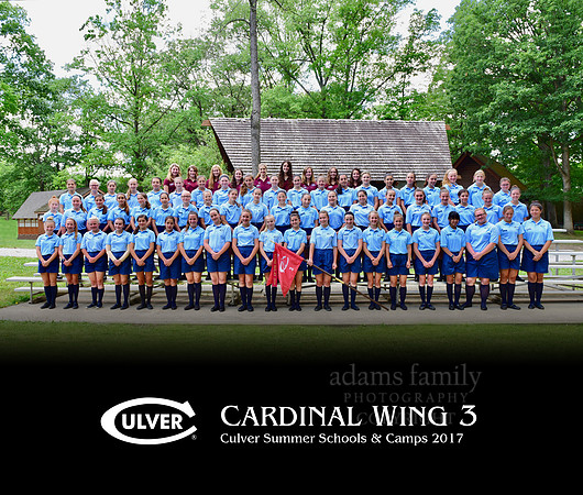 Cardinal Wing 3 2017