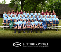 Butterfly 1