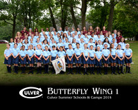 Butterfly1