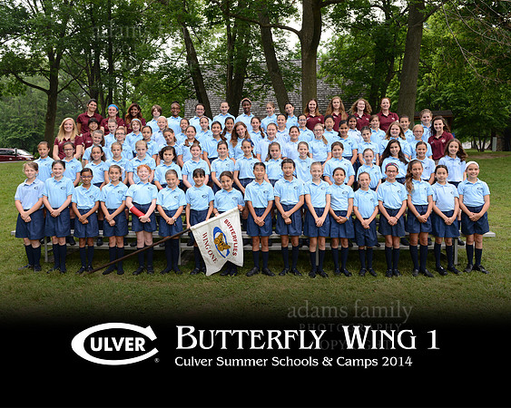 *Butterfly Wing 1