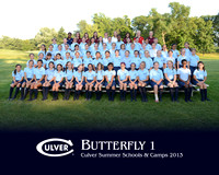 Butterfly1