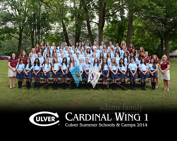 *Cardinal Wing 1