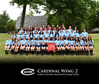 Cardinal2