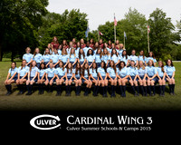 Cardinal3