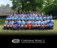 Cardinal 2