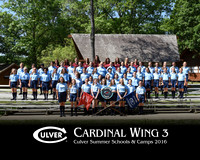 Cardinal3