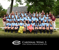 Cardinal3