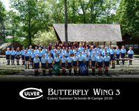 Butterfly3