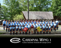 Cardinal1