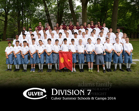 *Division 7