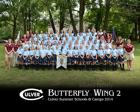 *Butterfly Wing 2