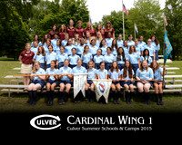 Cardinal1