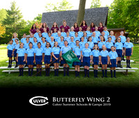Butterfly2