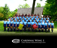Cardinal1