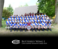 Butterfly1