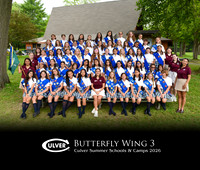 Butterfly3