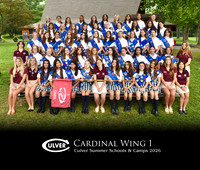 Cardinal1
