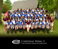 Cardinal3