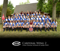 Cardinal2