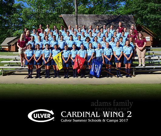 Cardinal Wing 2 2017