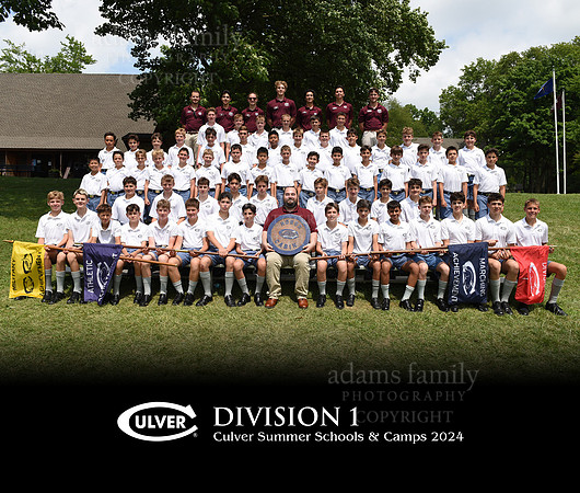 Division 1