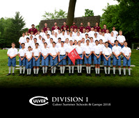 D1