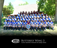 Butterfly3