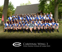 Cardinal3