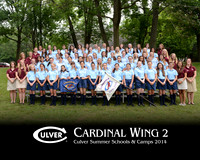 Cardinal2