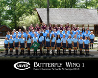 Butterfly1