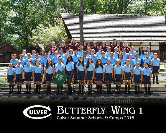 *Butterfly Wing 1