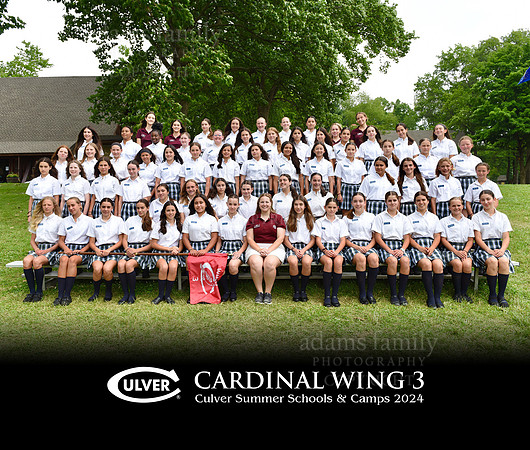 Cardinal Wing 3