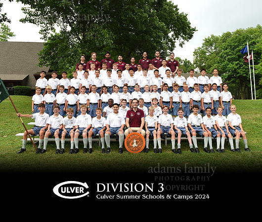 Division 3