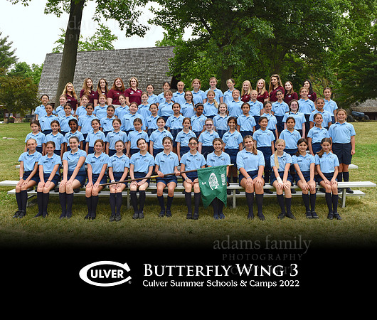 *Butterfly3