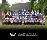 Cardinal1