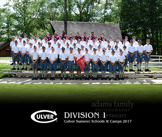 *Division 1 2017
