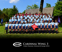 Cardinal3