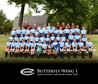 Butterfly1