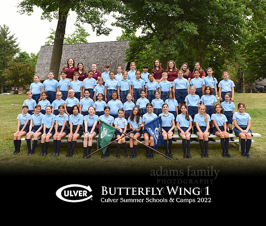 *Butterfly1