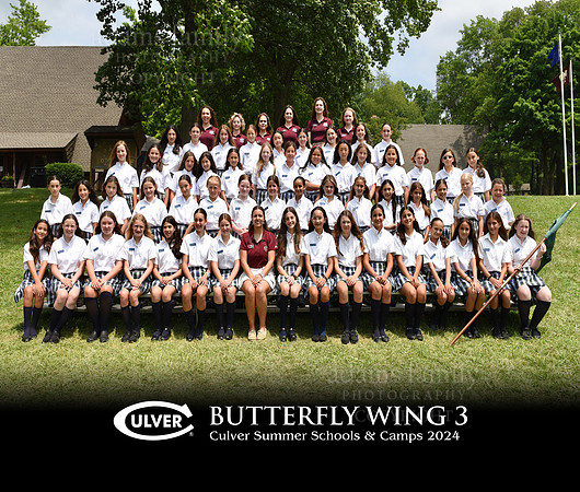 Butterfly Wing 3