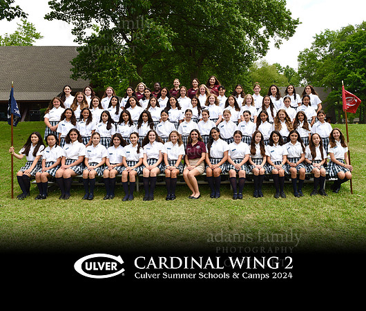 Cardinal Wing 2