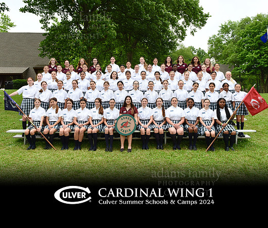 Cardinal Wing 1