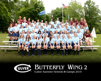 Butterfly2