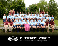 Butterfly3